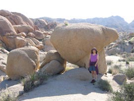 Rock east of rim